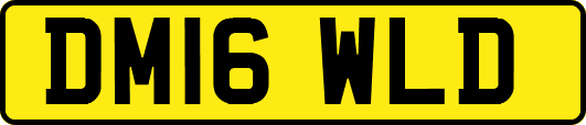 DM16WLD