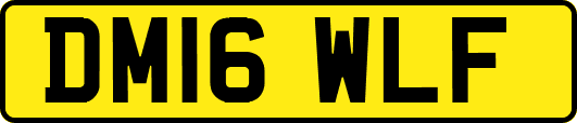 DM16WLF