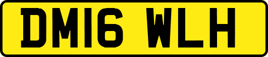 DM16WLH