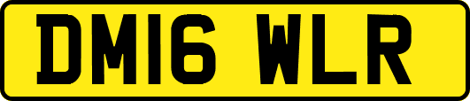 DM16WLR