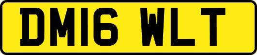 DM16WLT