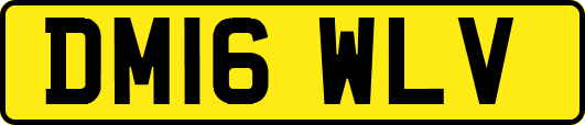 DM16WLV