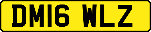 DM16WLZ