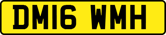 DM16WMH