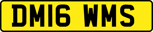 DM16WMS