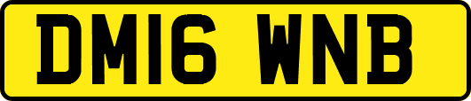 DM16WNB