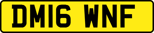 DM16WNF