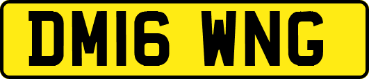DM16WNG