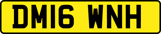 DM16WNH