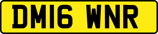 DM16WNR