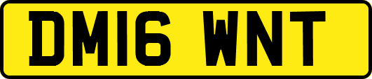 DM16WNT