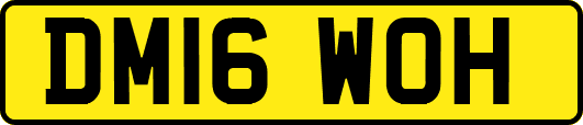 DM16WOH