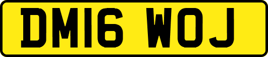 DM16WOJ