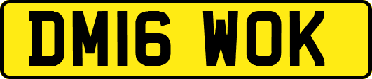 DM16WOK