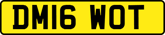 DM16WOT