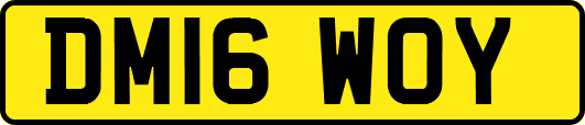 DM16WOY