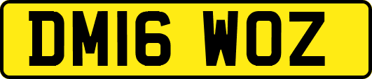 DM16WOZ