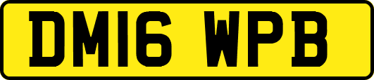 DM16WPB