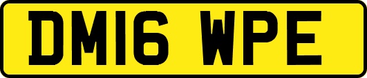 DM16WPE