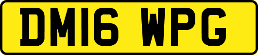 DM16WPG