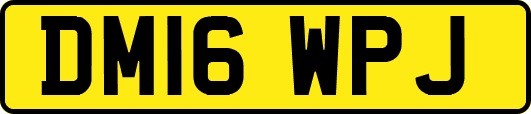 DM16WPJ