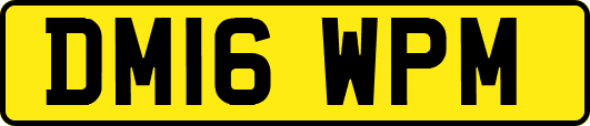 DM16WPM