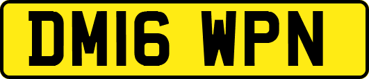 DM16WPN