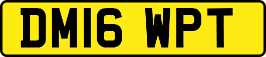 DM16WPT