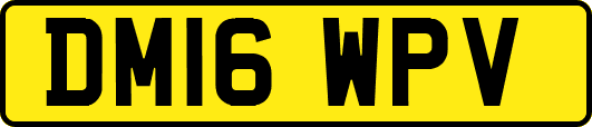 DM16WPV