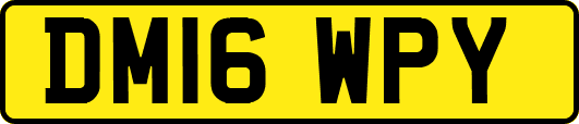 DM16WPY