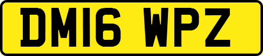 DM16WPZ