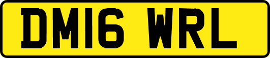 DM16WRL