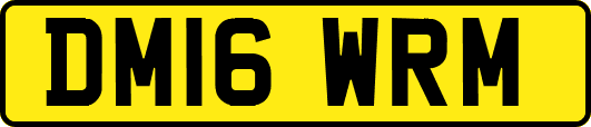DM16WRM