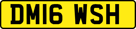 DM16WSH