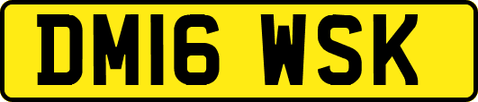 DM16WSK