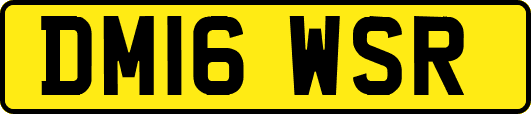 DM16WSR