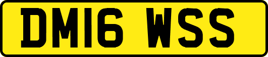 DM16WSS