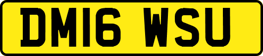 DM16WSU