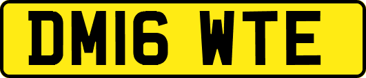 DM16WTE