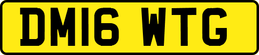 DM16WTG