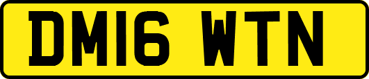 DM16WTN