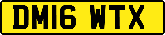 DM16WTX