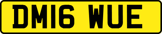 DM16WUE