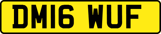 DM16WUF