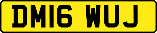 DM16WUJ