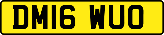 DM16WUO