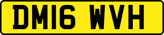 DM16WVH