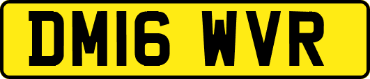 DM16WVR