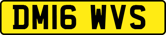 DM16WVS