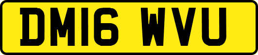 DM16WVU